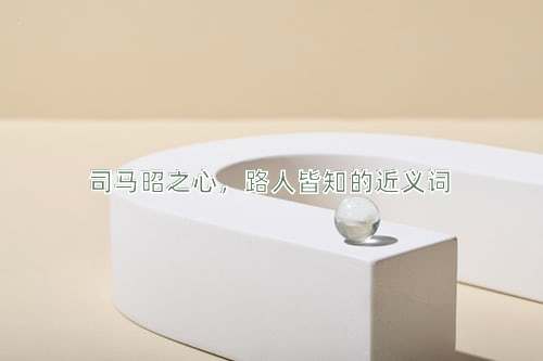 司马昭之心，路人皆知的近义词
