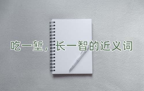 吃一堑，长一智的近义词
