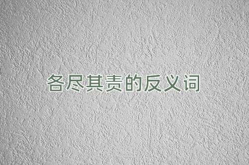各尽其责的反义词