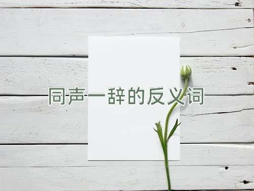 同声一辞的反义词