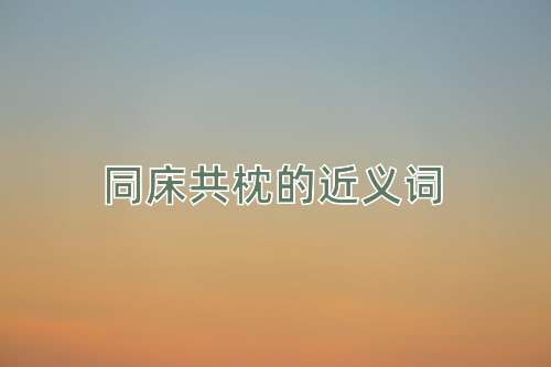 同床共枕的近义词
