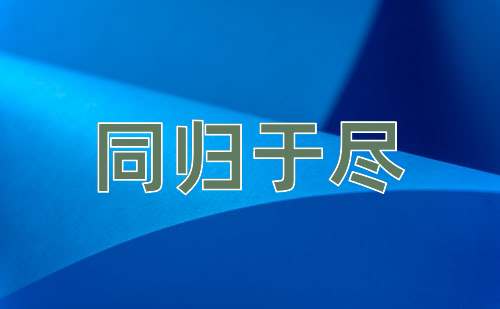 成语同归于尽