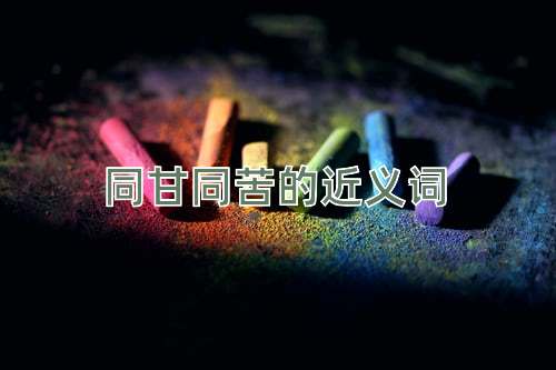 同甘同苦的近义词