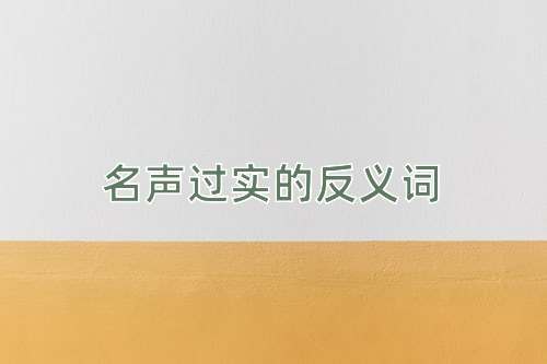 名声过实的反义词