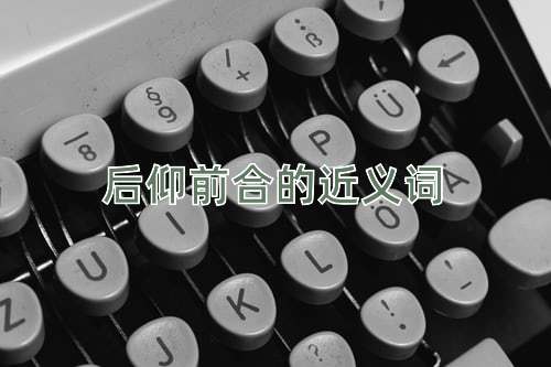 后仰前合的近义词