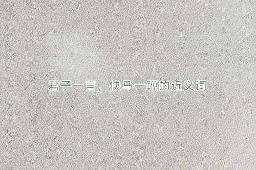 君子一言，快马一鞭的近义词