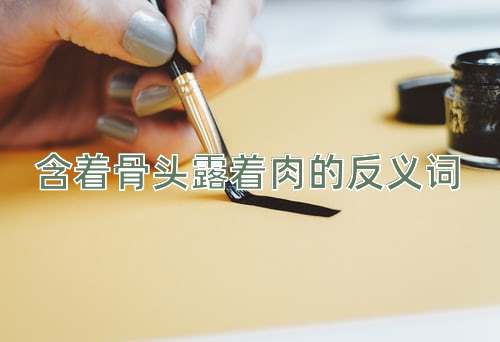 含着骨头露着肉的反义词