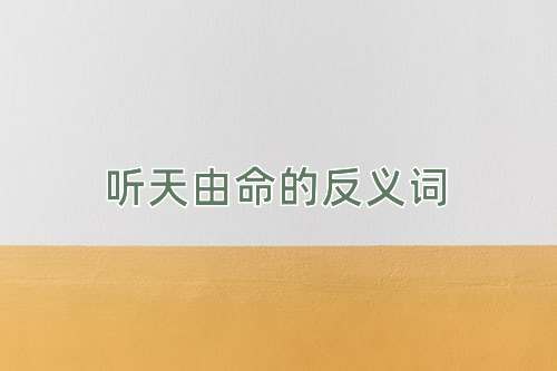 听天由命的反义词