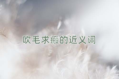 吹毛求瘢的近义词