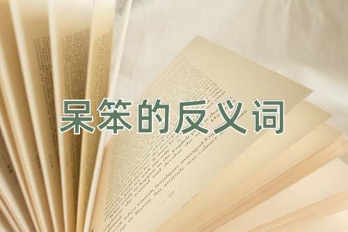 呆笨的反义词