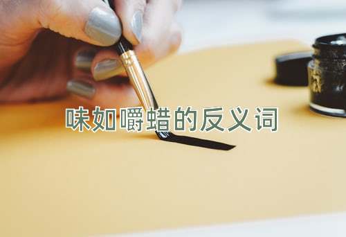 味如嚼蜡的反义词