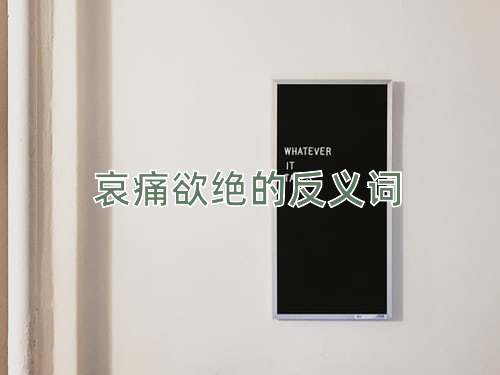 哀痛欲绝的反义词