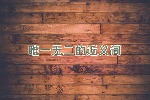 唯一无二的近义词