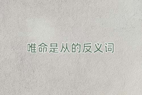 唯命是从的反义词