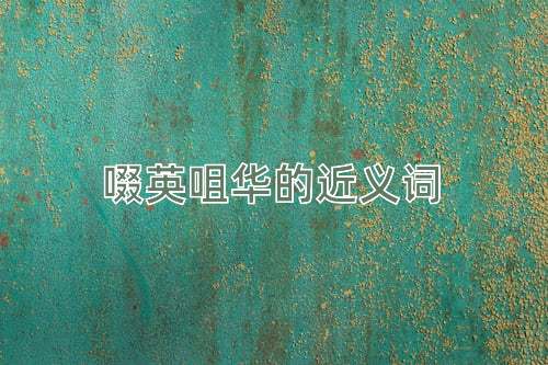 啜英咀华的近义词