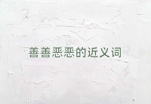 善善恶恶的近义词