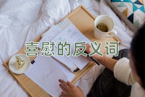 喜慰的反义词