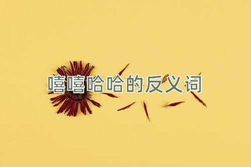 嘻嘻哈哈的反义词