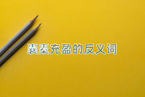 囊橐充盈的反义词