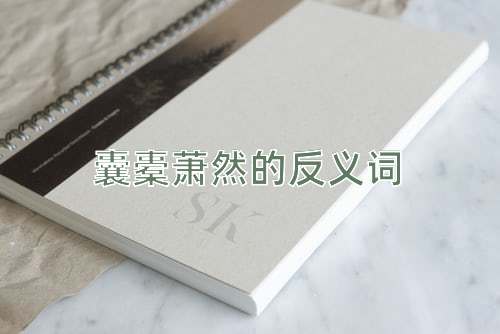 囊橐萧然的反义词