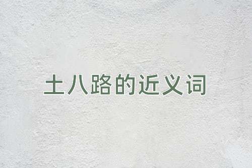 土八路的近义词