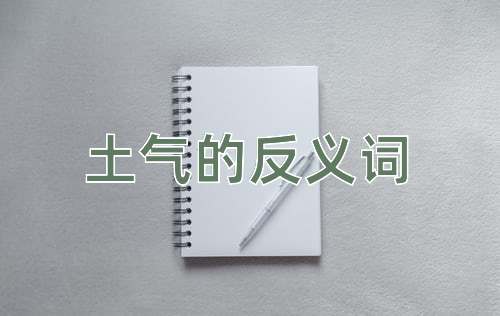 土气的反义词