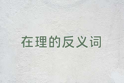 在理的反义词