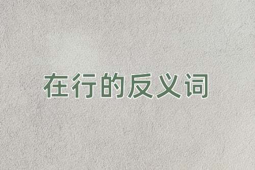 在行的反义词
