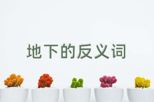地下的反义词