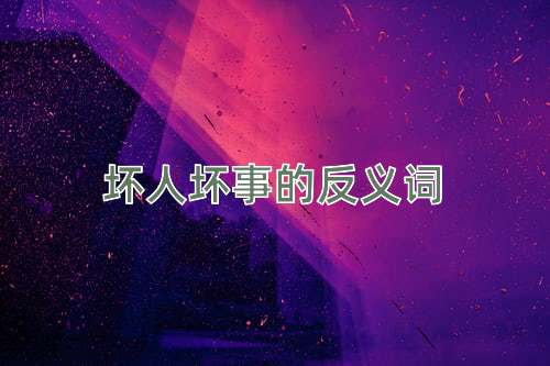 坏人坏事的反义词