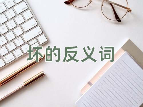 坏的反义词