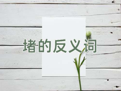 堵的反义词