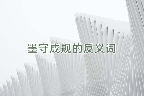 墨守成规的反义词