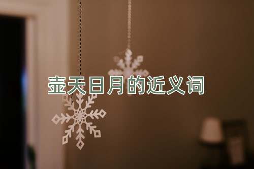 壶天日月的近义词