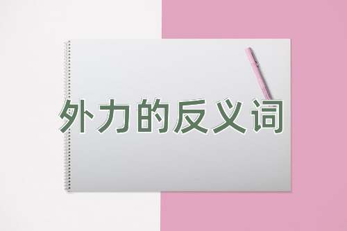 外力的反义词