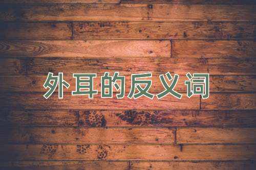 外耳的反义词