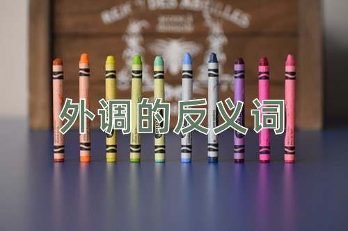 外调的反义词