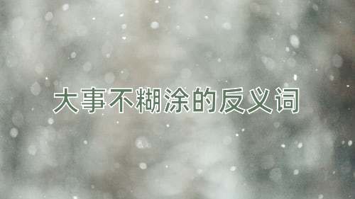 大事不糊涂的反义词