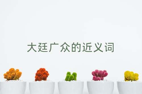 大廷广众的近义词