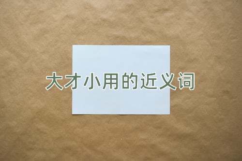 大才小用的近义词