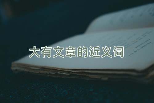大有文章的近义词