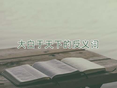 大白于天下的反义词