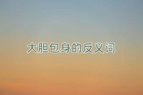 大胆包身的反义词