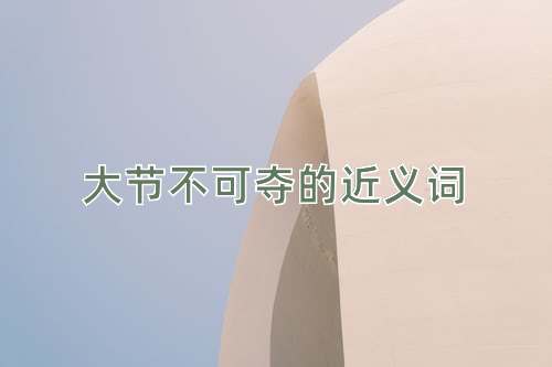 大节不可夺的近义词