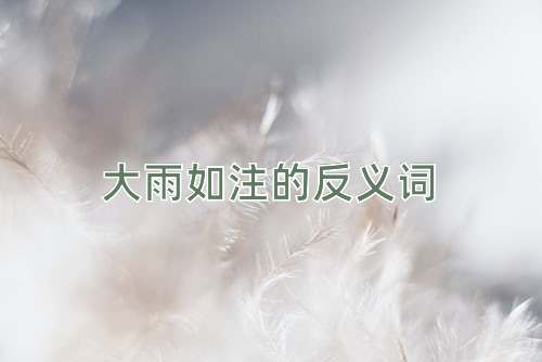 大雨如注的反义词
