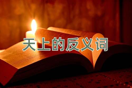 天上的反义词
