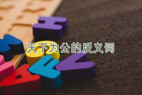 天下为公的反义词
