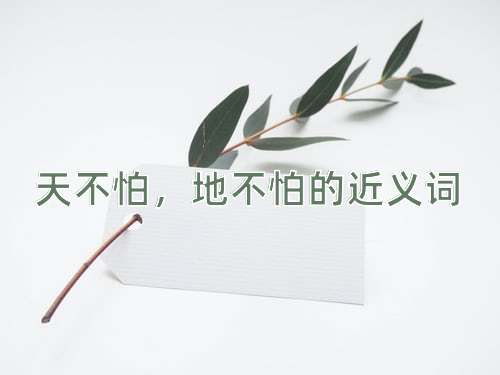 天不怕，地不怕的近义词