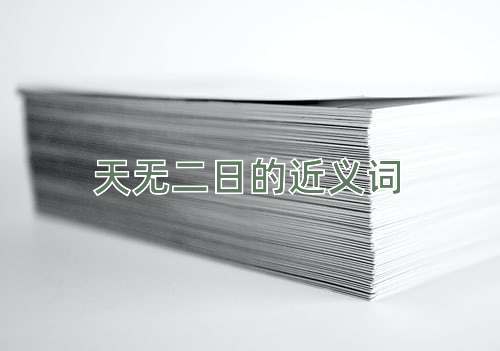 天无二日的近义词