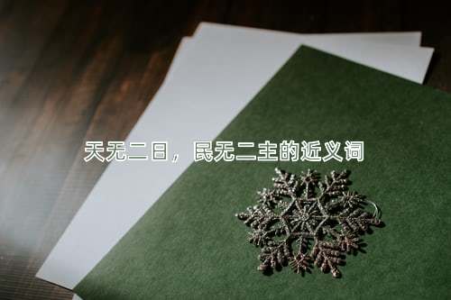 天无二日，民无二主的近义词